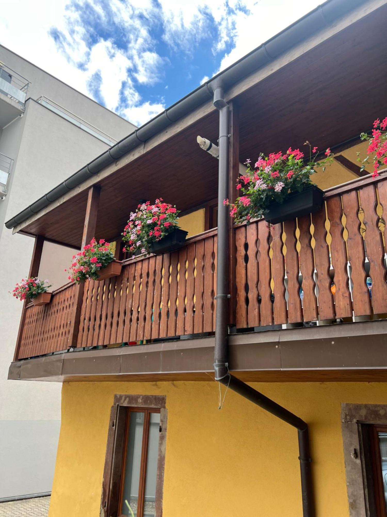 Colmar Charmant Logement Exterior foto